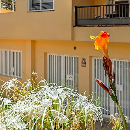 Tenerifeopenhome Colina Dorada 1 Apartment
