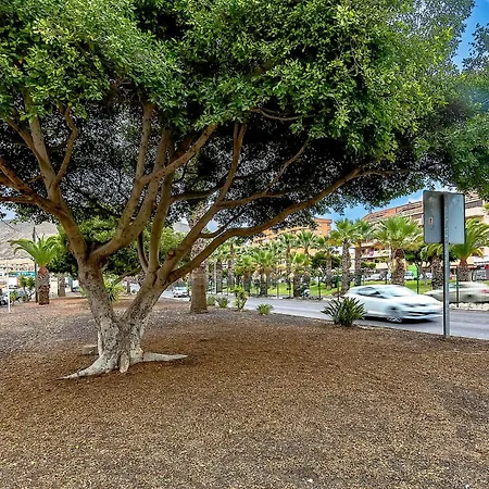 Tenerifeopenhome Colina Dorada 1 Apartment